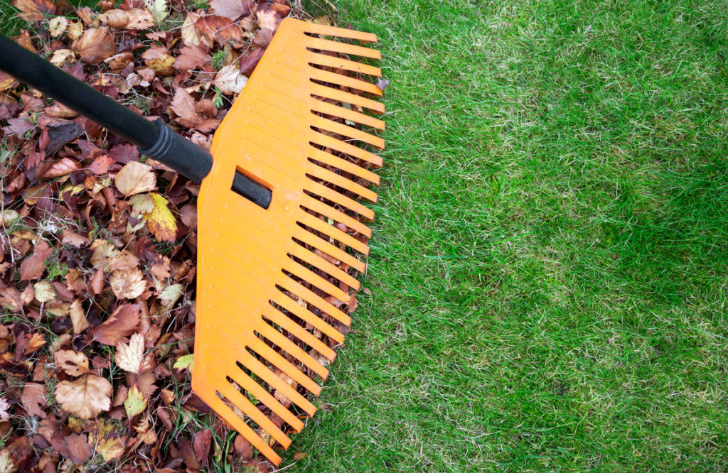 fall-lawn-care-tips