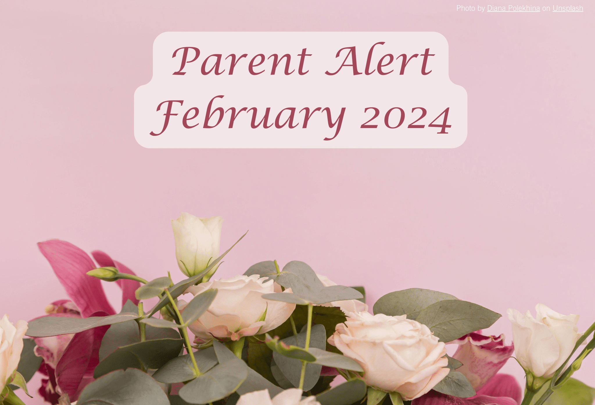 Parent Alert December 2023 Background Image (8)