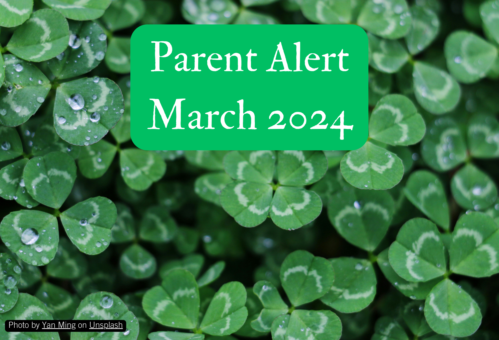 Parent Alert December 2023 Background Image (12)