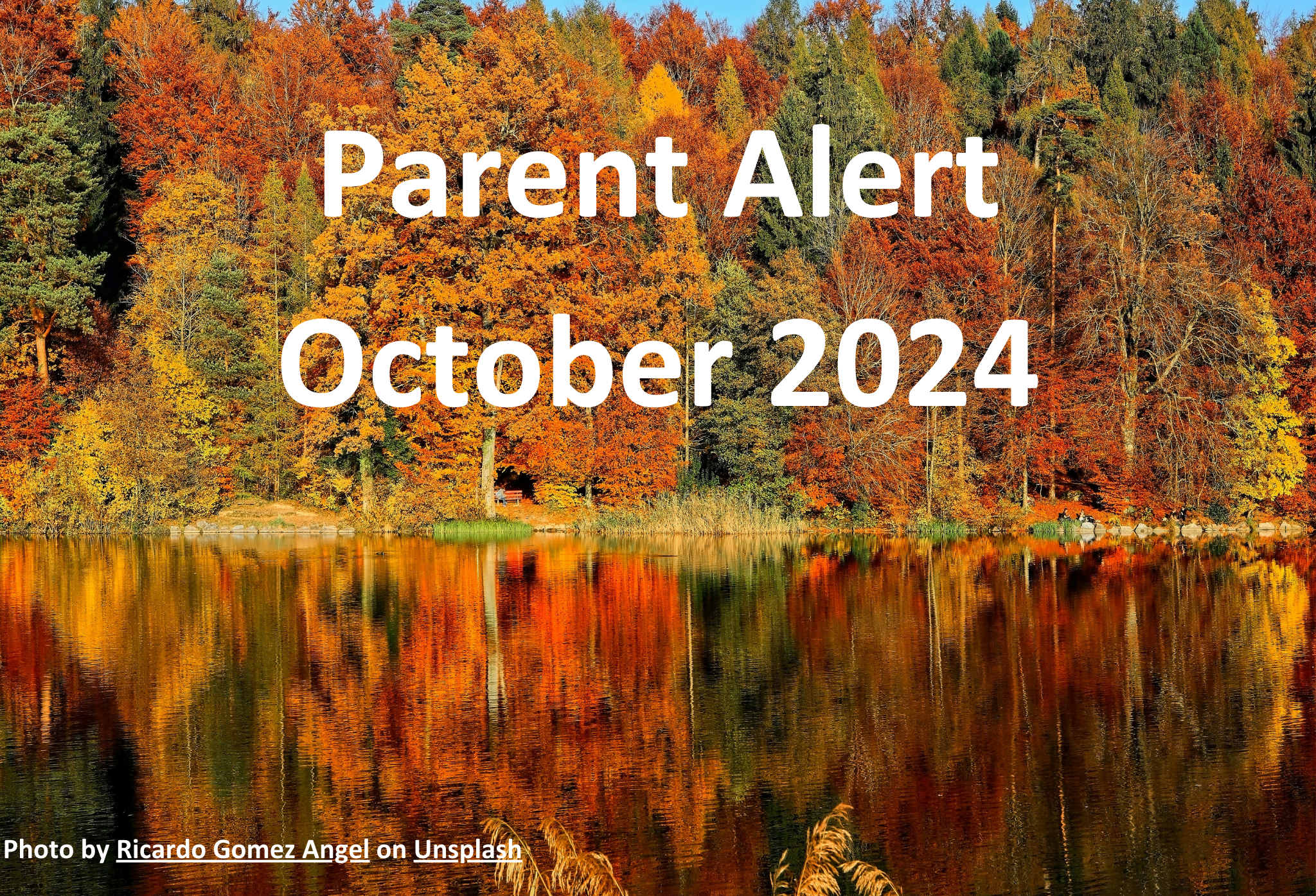 Parent Alert Cover Photo 2024.10