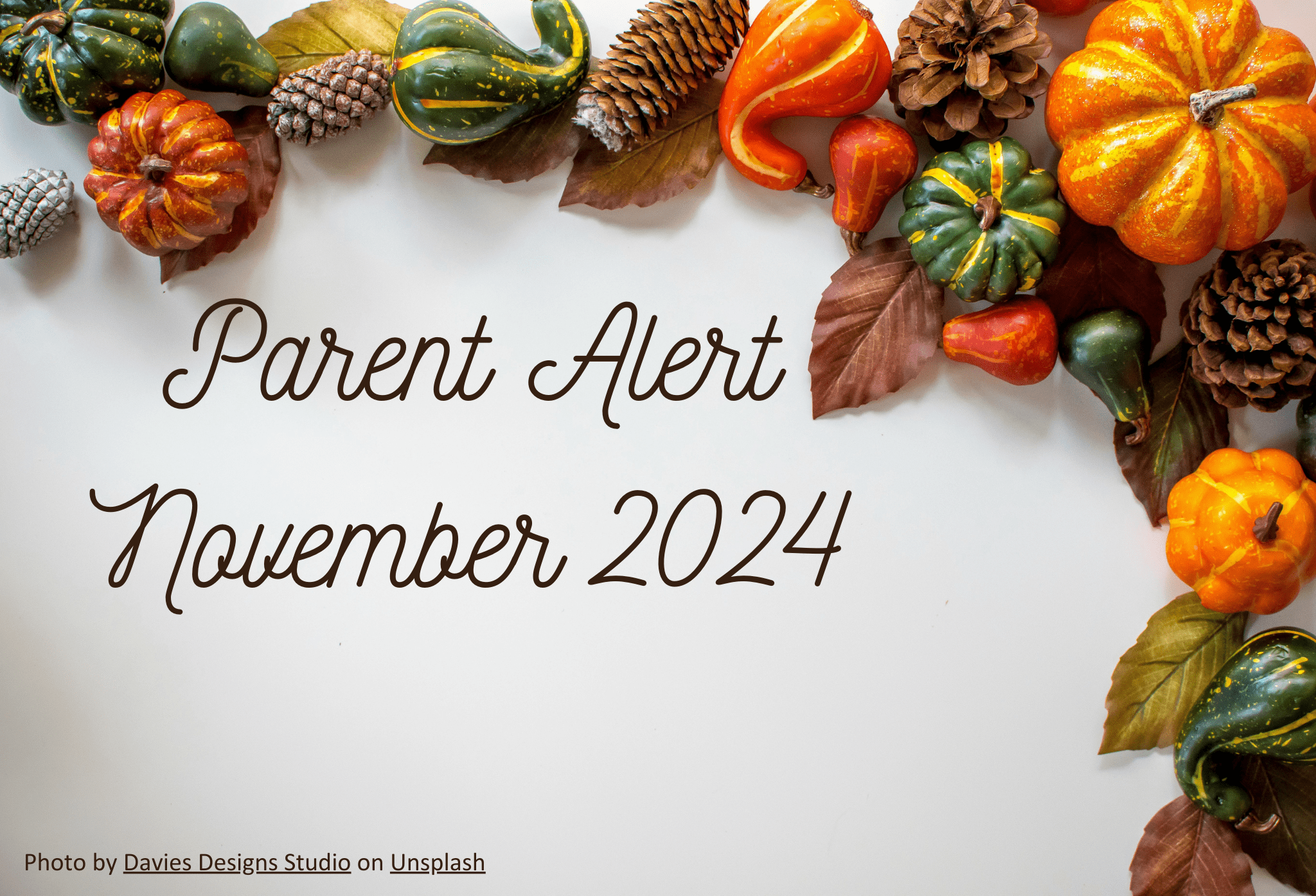 Parent Alert Cover Photo 2024.11