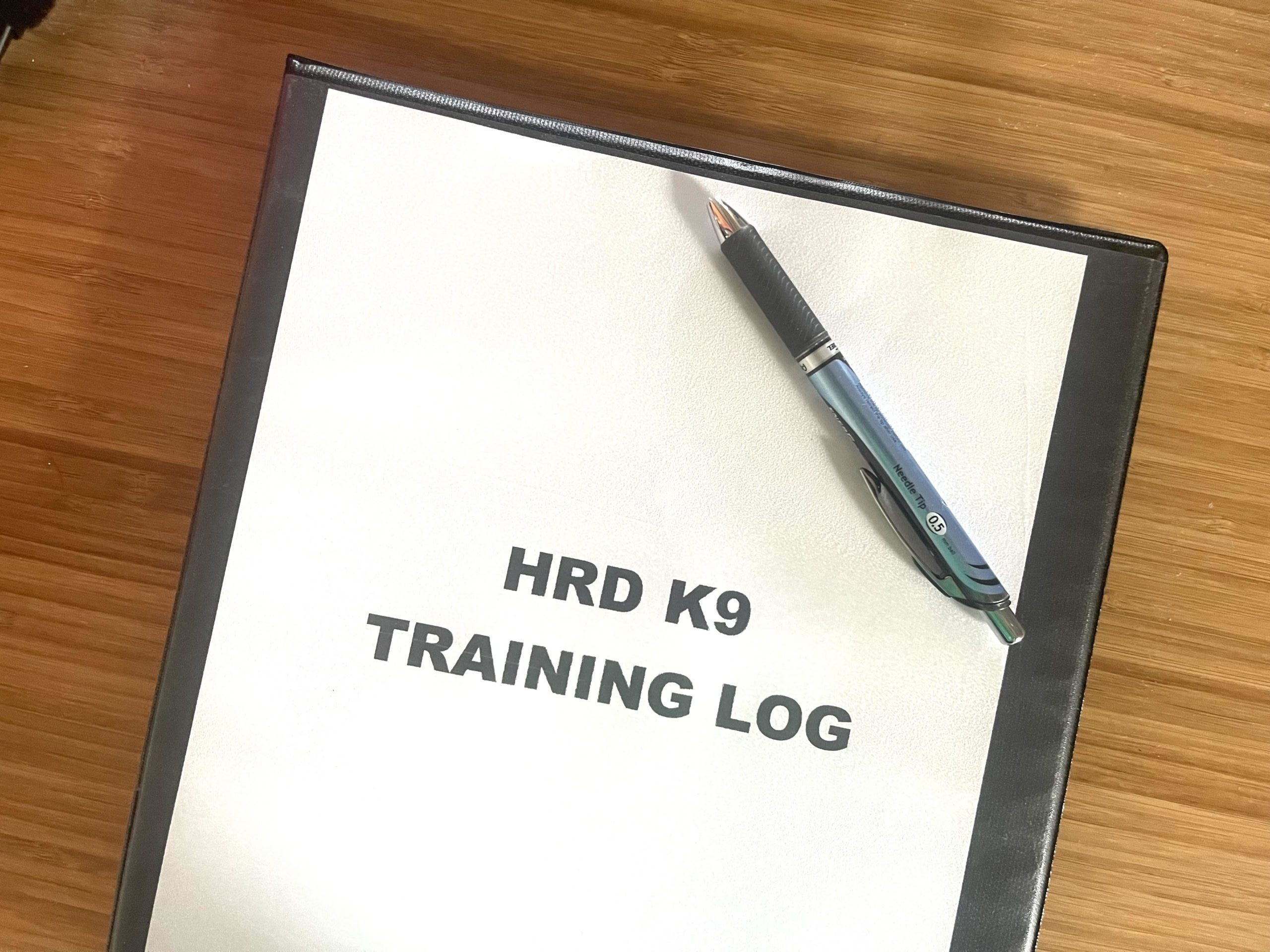 training log training log