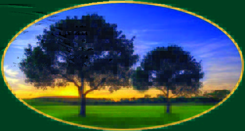 From the Ground Up Spotlight Logo From the Ground Up Spotlight Logo