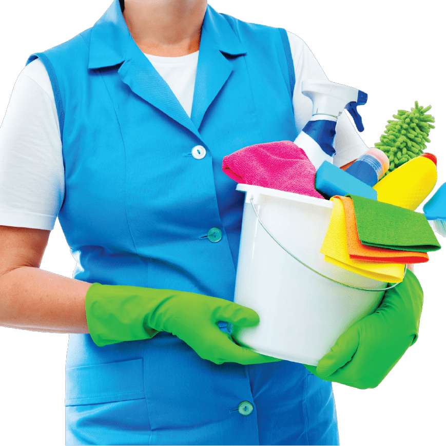 Pressure-Pro-Power-Maids-lady Pressure-Pro-Power-Maids-lady