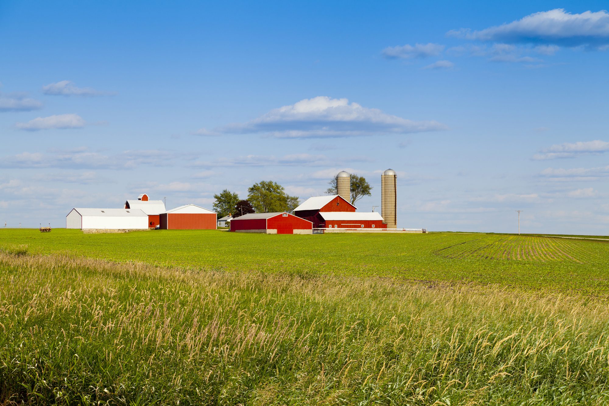 farm-insurance farm-insurance