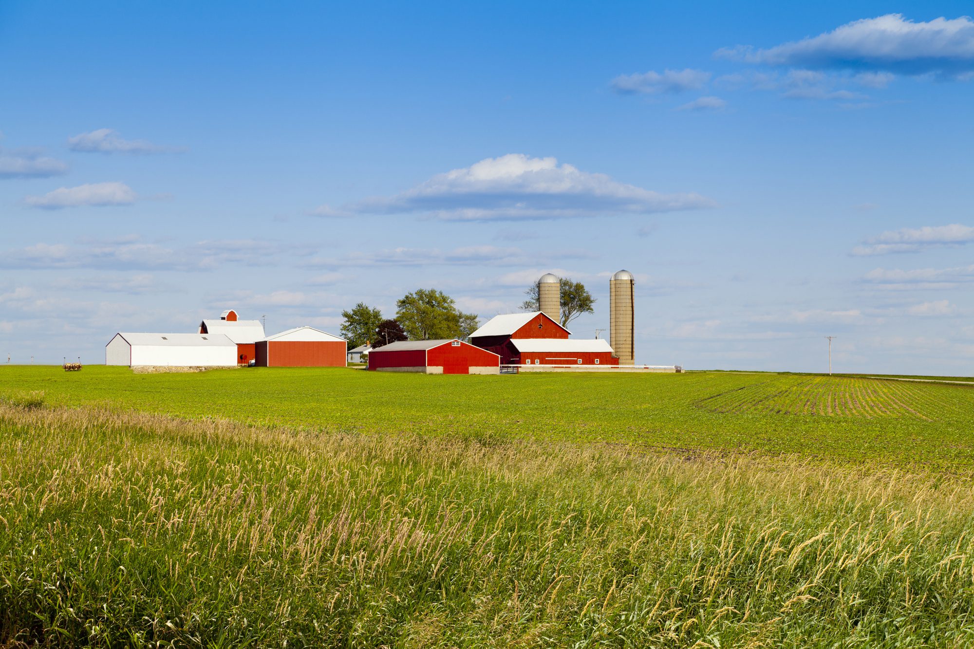 farm-insurance