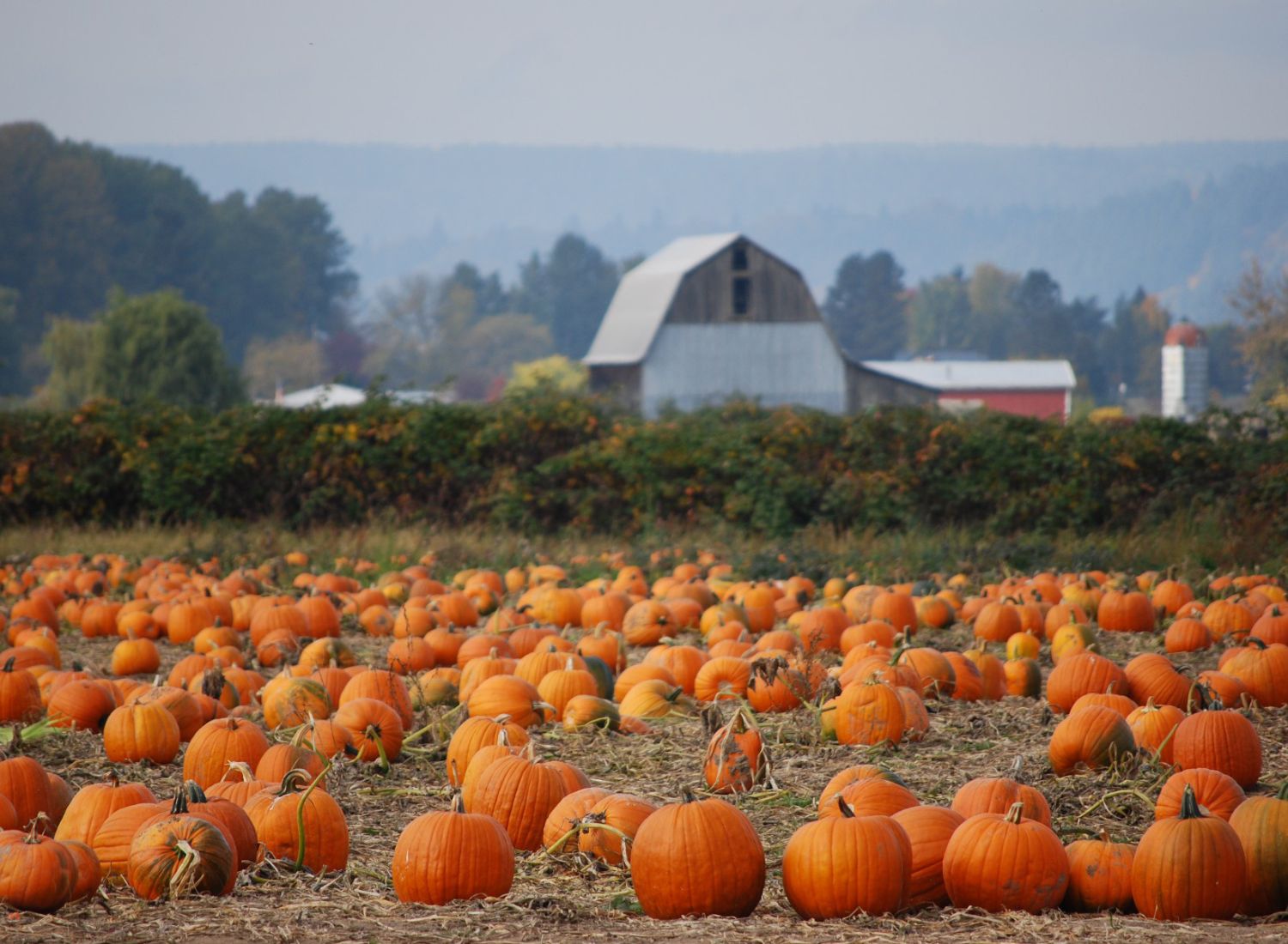 farm-insurance-orrville