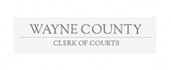 https://waynecountycsea.org/wp-content/uploads/sites/167/2021/01/wayne-county-clerk-of-courts-250x103-1.png