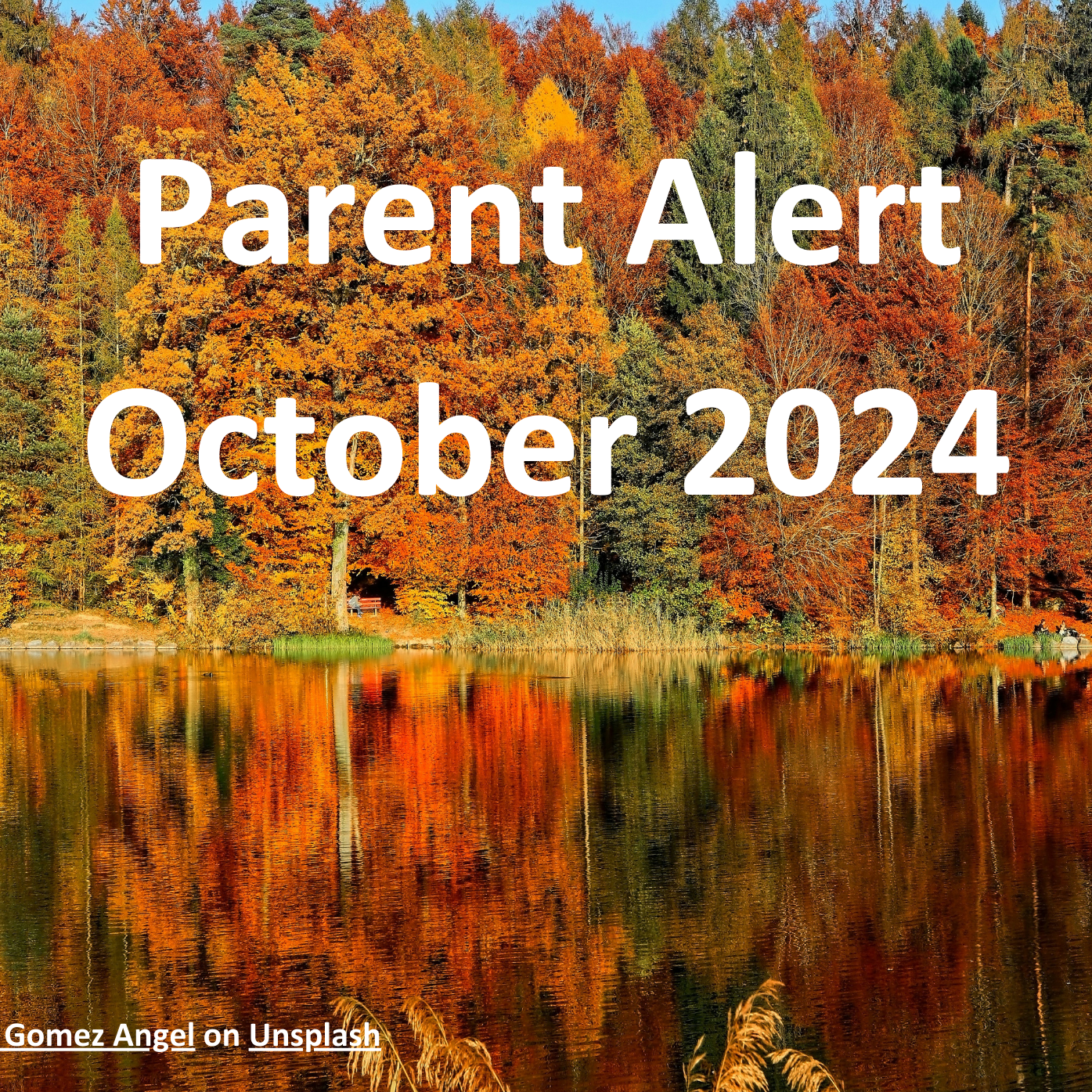 Parent Alert Cover Photo 2024.10