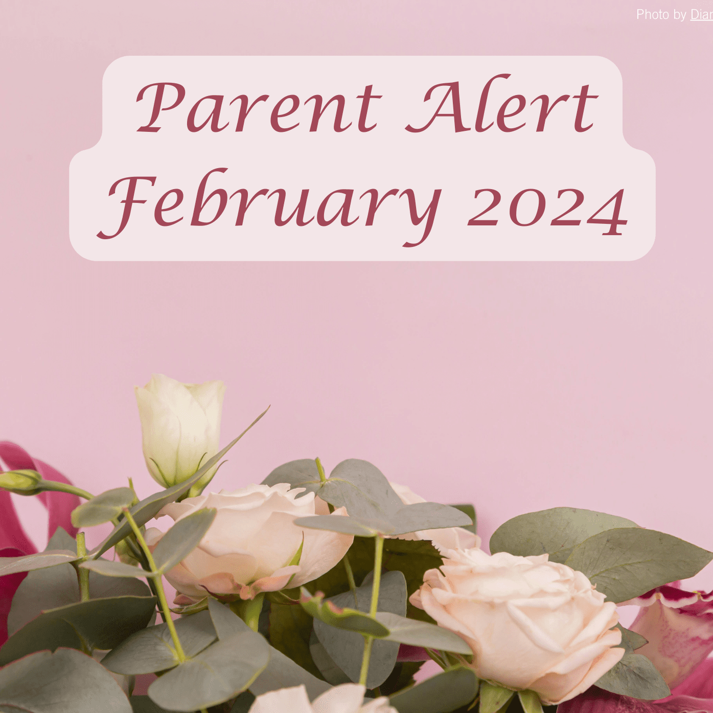 Parent Alert December 2023 Background Image (8)
