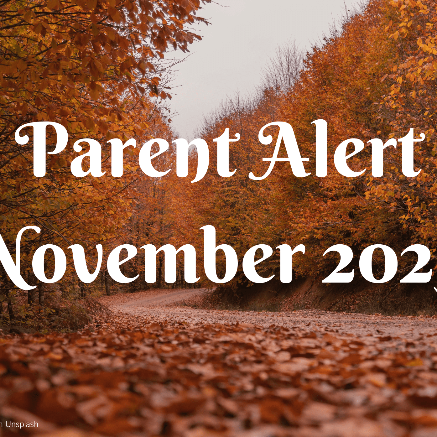 Parent Alert July 2023 Background Image (6)