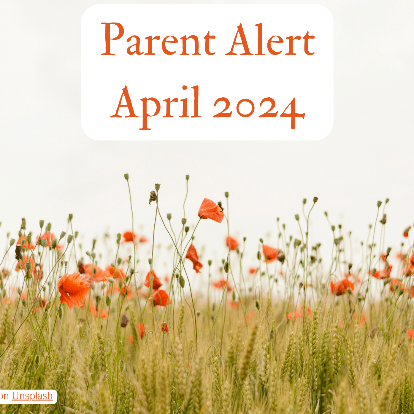 Rittman SALT Parent Alert April 2024
