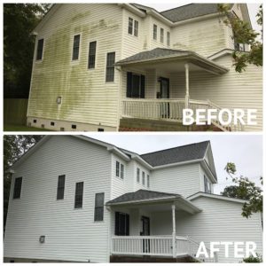 roof-mold-removal roof-mold-removal