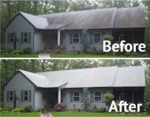 roof-mold-wooster roof-mold-wooster